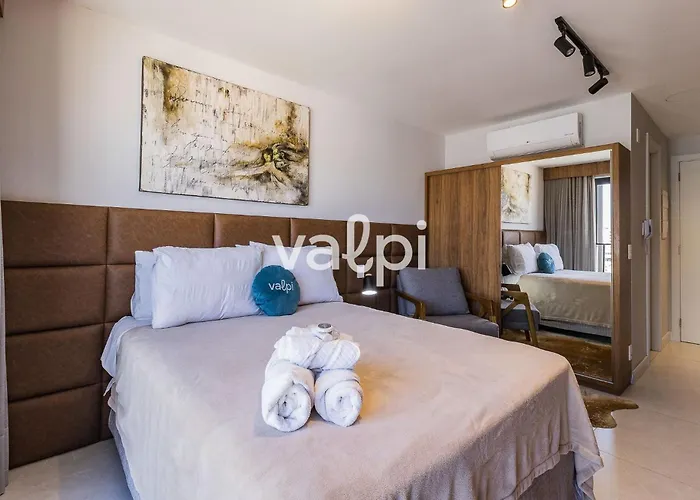 Valpi Go 24